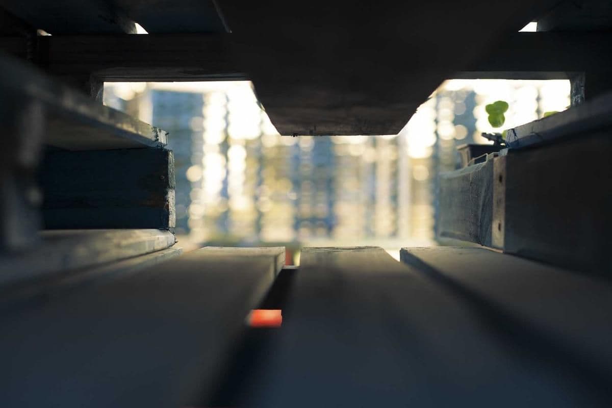 Campus Shuttle Schedule Update
